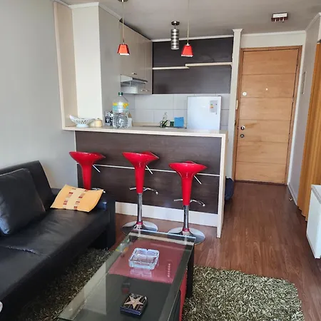Apartamento Departamento Santiago Centro - Parque Almagro